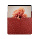 Microsoft Surface Pro 9 / 10 / 11 leather sleeve - Autruche ciliegia ( Pantone #a4343a ) 