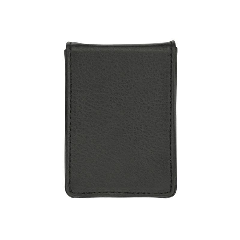 Cowon Plenue D leather case