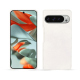 Capa em pele Google Pixel 9 Pro XL - Blanc escumo ( Pantone #D6D6D1 )