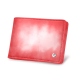 Credit card and note wallet - Rose Patine