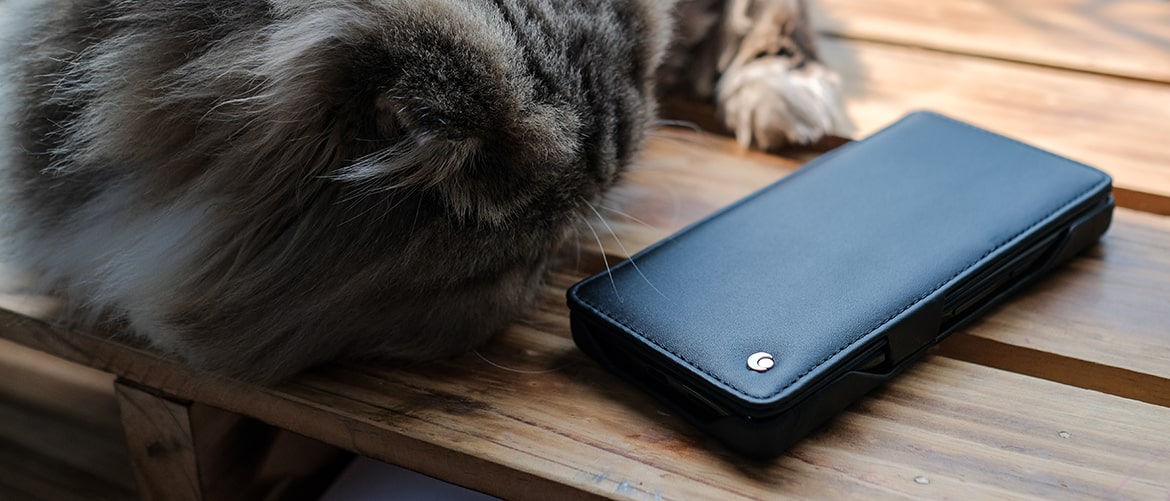 Pixel 6 Pro